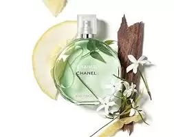 chanel (2)
